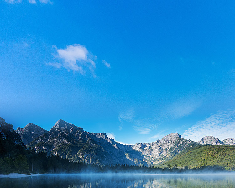 藍(lán)固新能源